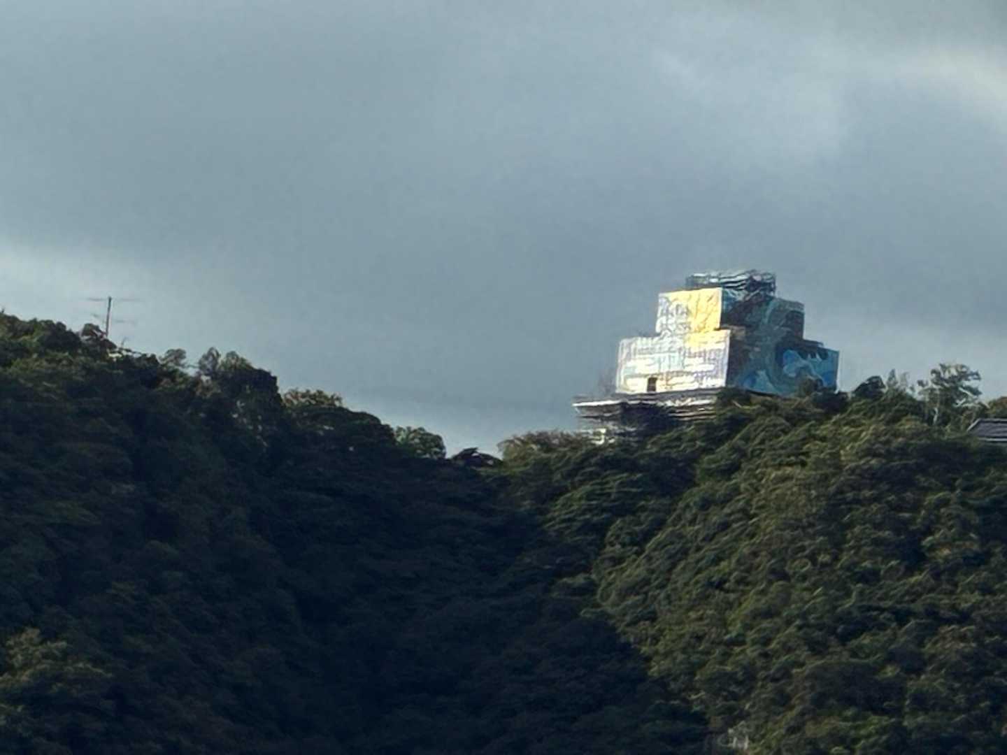 鷹巣山 往復コースの写真