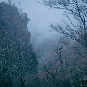 ちょっと晴れてきたかな？