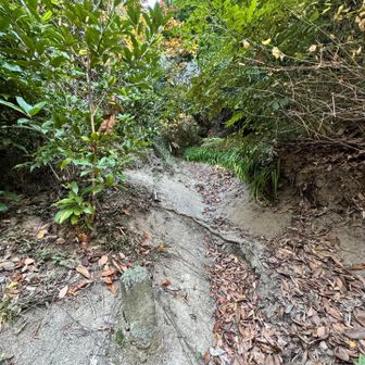 本行寺裏手の登山道