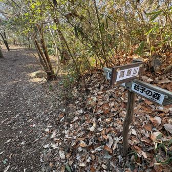 西明寺方面に向かいます