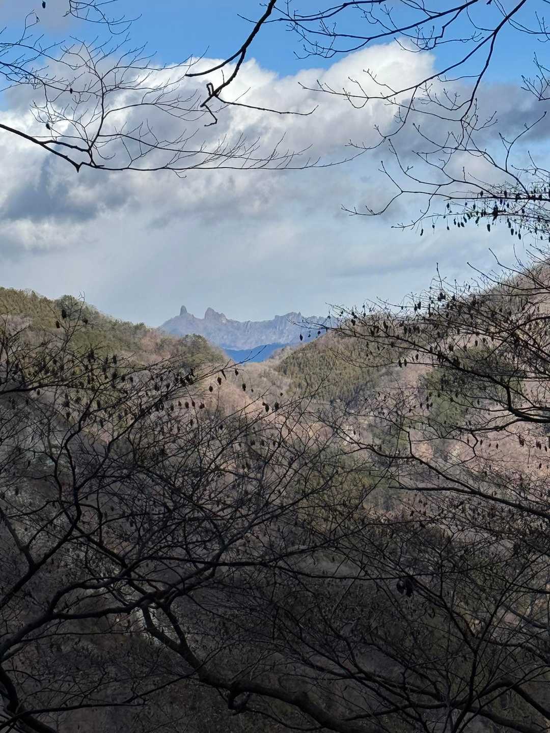 黒瀧山不動寺登拝口-不動寺-黒滝山-観音岩 周回コースの写真