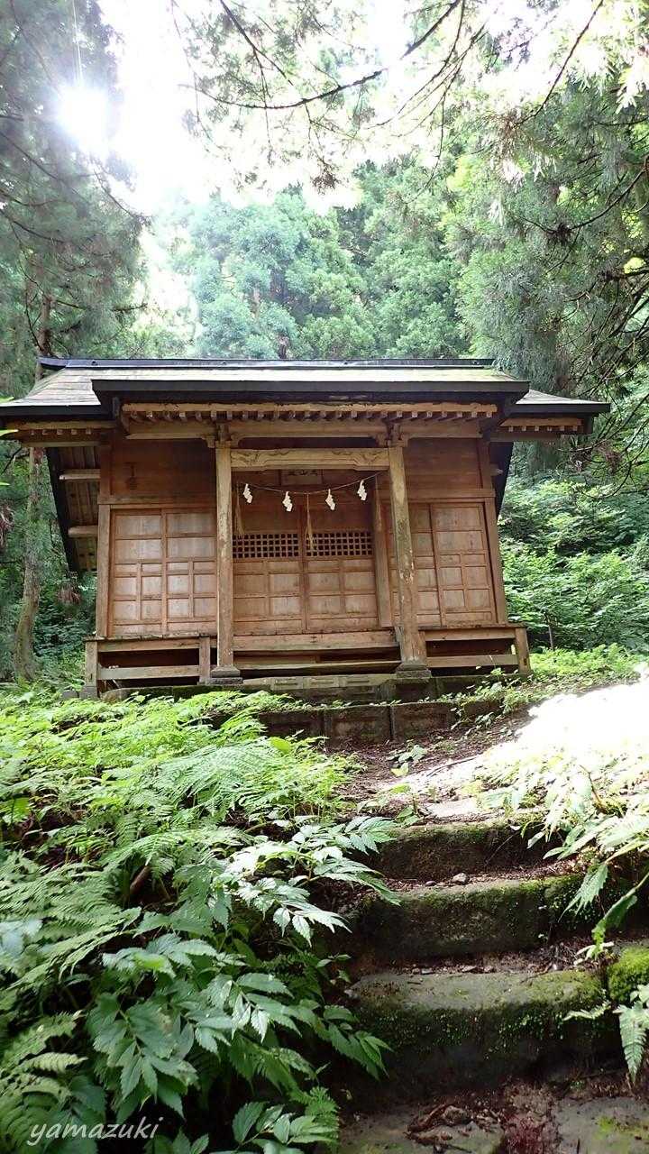 関沢登山口-櫛形山 往復コースの写真