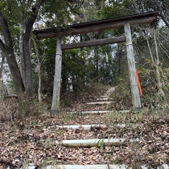 毎回毎回、最後に鳥居……。