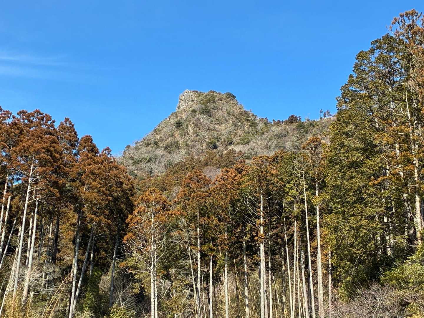 色々あったけど無事下山。
あそこに登りましたよー🤭