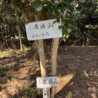 不明確な登山道を登り３座目 小鷹城山山頂標識。