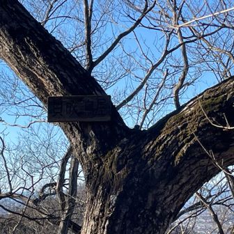 標識がまるで見えないが😅貝吹鳥屋