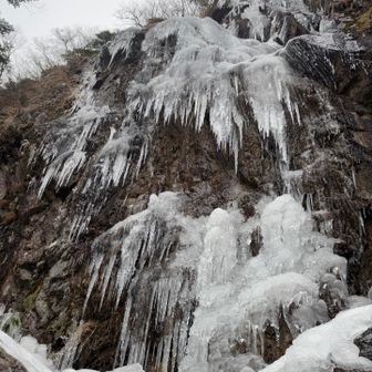 本日の目的✨大つらら