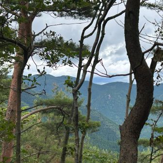 稜線歩きは基本的に眺望のない稜線だけど、木々の間から瓢ヶ岳と思われる山が見えてた。