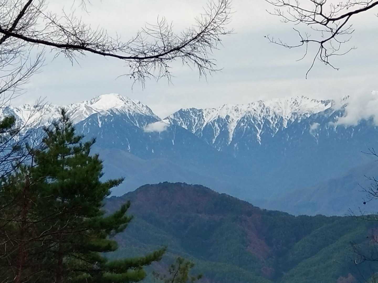 ズーム📸✨