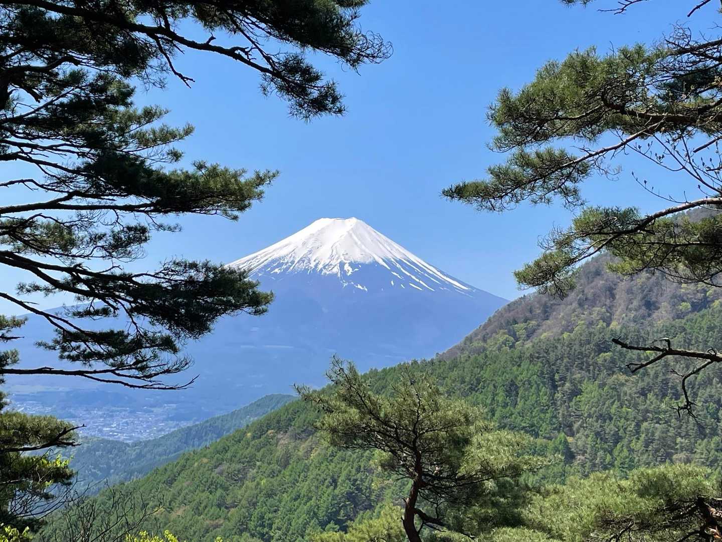 笹子駅-本社ヶ丸-清八山-御巣鷹山-三つ峠山-三つ峠駅 縦走コースの写真