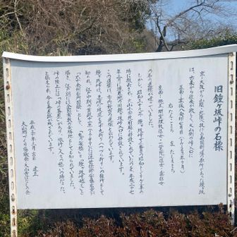 下山開始後一本道だと、たかを括っていたが分岐を間違え、来た道のほうへ進んでいた💦
丁度、園林寺跡でこっちちゃうやん😭と気づく💦
まぁそこからでも下山できるのだが、こういう感じで道迷いが起きるのだと学んだ😓
この学びを今後に活かそう😌
