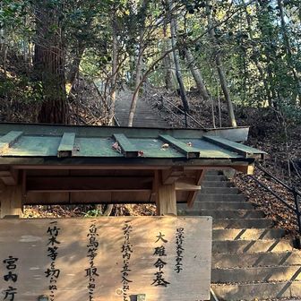 東の宮へ行こうと思ったら
宮内庁❓景行天皇⁉️
調べたら第12代天皇。143歳まで生きたとされる‼️腰抜かしましたよ😳