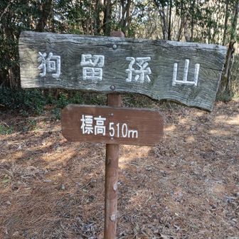 山頂、今回は珍しく良いペースで登ってます、