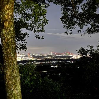 西寄りは木が茂って見づらく、この後駐車場へ入る所で何か吠えられびびるw 先月は何か2匹ダッシュしてたので冬になるまで夜はやめた方が良いかも