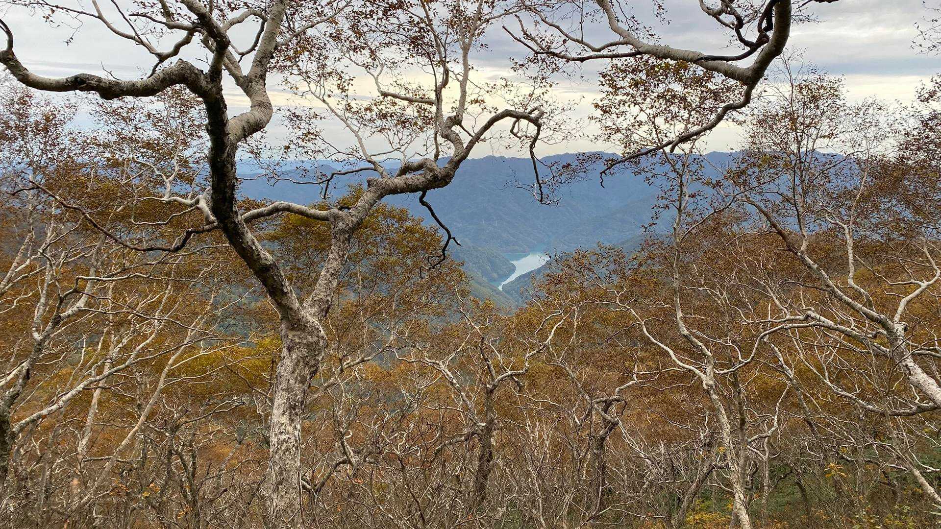 振り返るとクリオネ✨がやっと見えた！！
