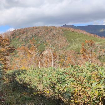 笹森山
