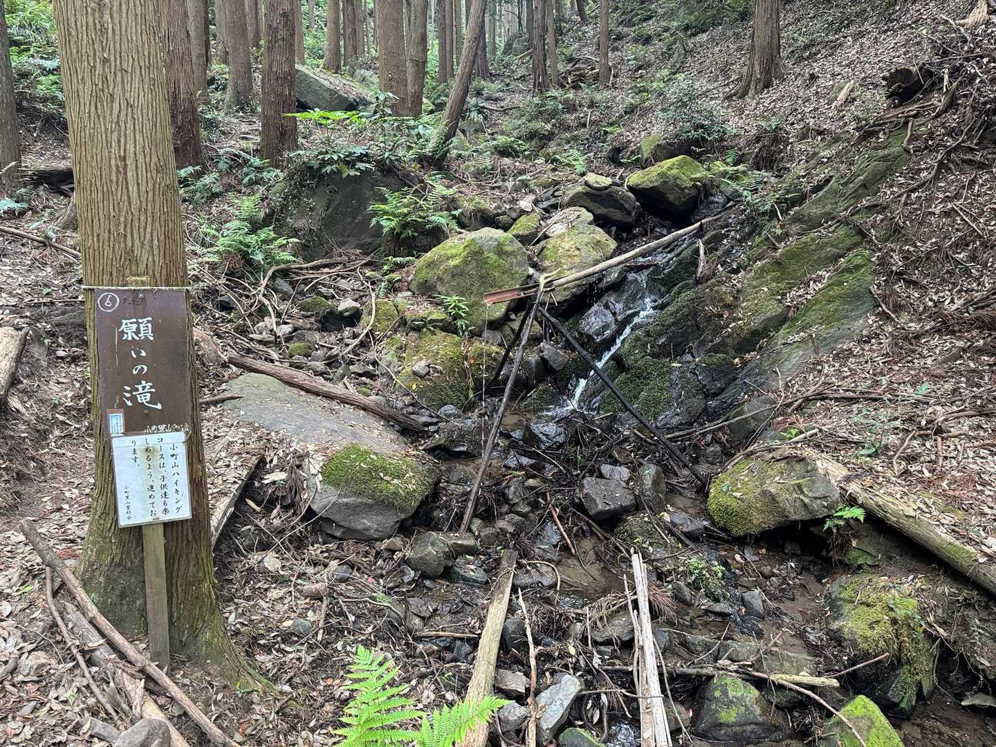 「願いの滝」
足の痛さがなくなりますように🙏