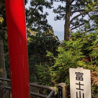 帰路でも観れません😞