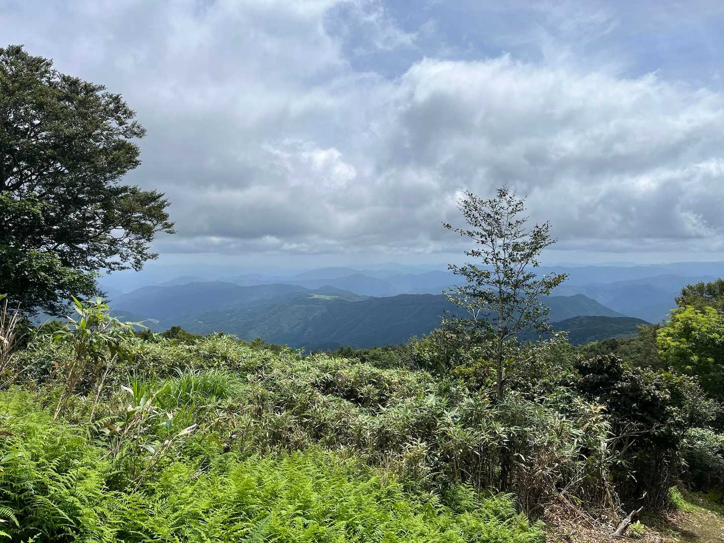 大段ヶ平登山口-氷ノ山 往復コースの写真
