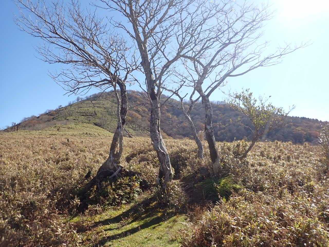 振り向くと三室山