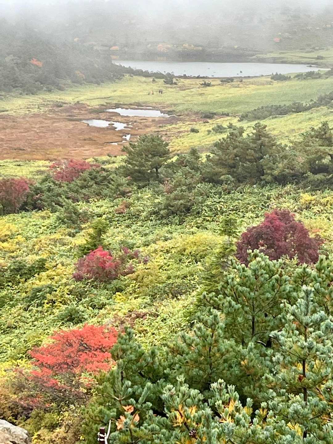 一切経山 往復コースの写真