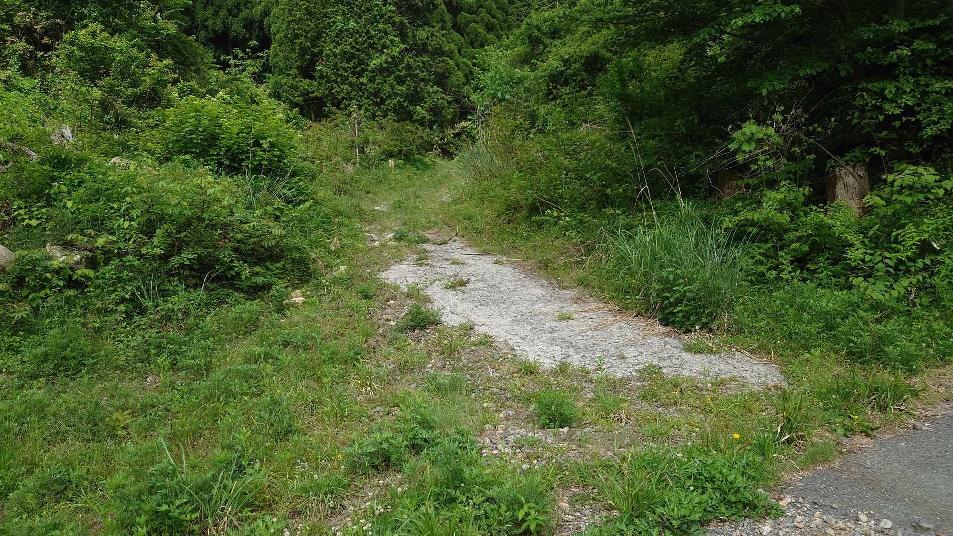 三坂山 往復コースの写真