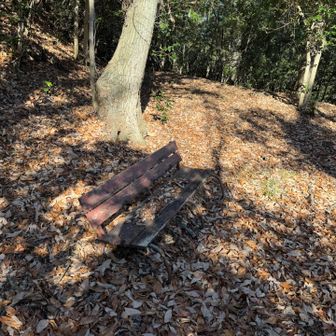 ぽつんと年季の入ったベンチ