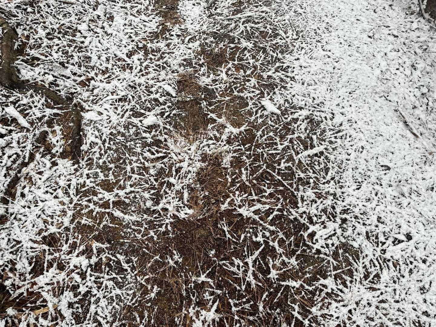 雪化粧が万華鏡のようキレイ🤩🤩
どこがと相方....美的センスの違い😑