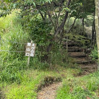 グルリと一周回ってきました。