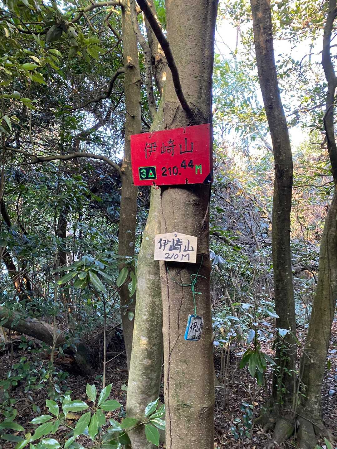 伊崎山到着。何も無い😅