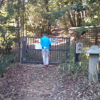 扉を開けて登ります。