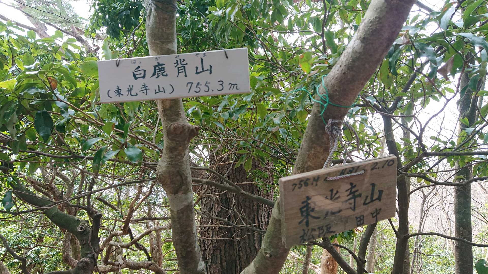 白鹿背山「はっかせやま」（東光寺山）