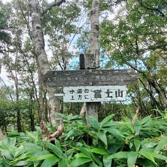前の写真の所の標識　山頂まで100m