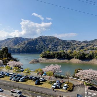 津久井湖を見ながら花の苑地へ