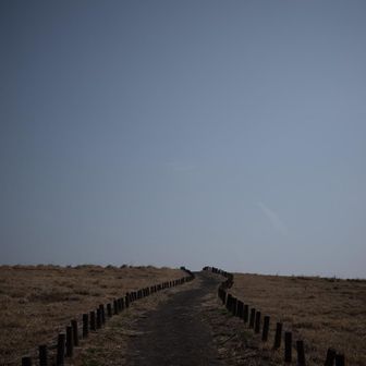朝とは違う景色