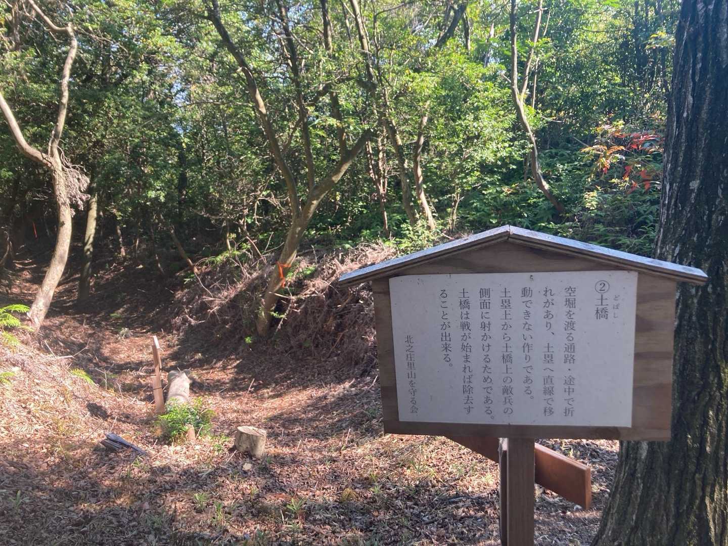城跡周辺も見所いっぱい！