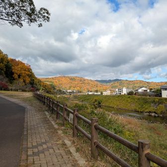 川沿い両側に道がある　正面の山あたりが摂津峡
