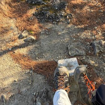 一徳坊山の三角点