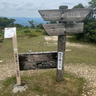 昨日はトレラン大会（FAIRY TRAIL）があったみたいです
