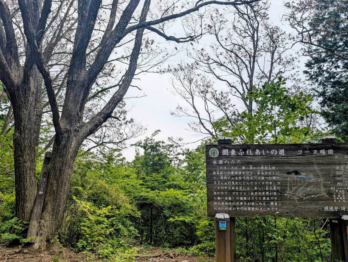 ここも関東ふれあいの道！
左側にかわいくゴンジリ峠の標識♪
