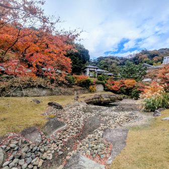 妙香池
なんと水が無い…
これじゃカワセミ来ないよね…