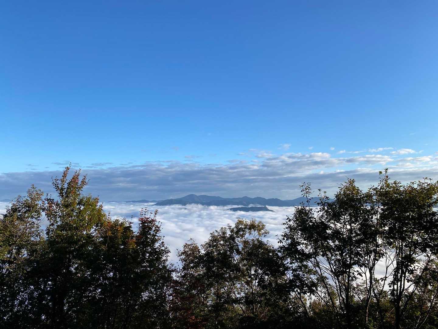 雲海がしっかり見える