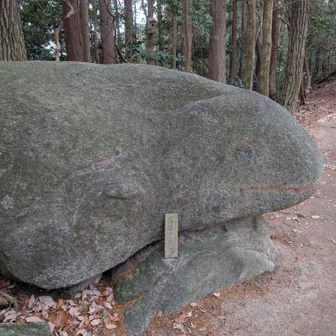 かえる石
