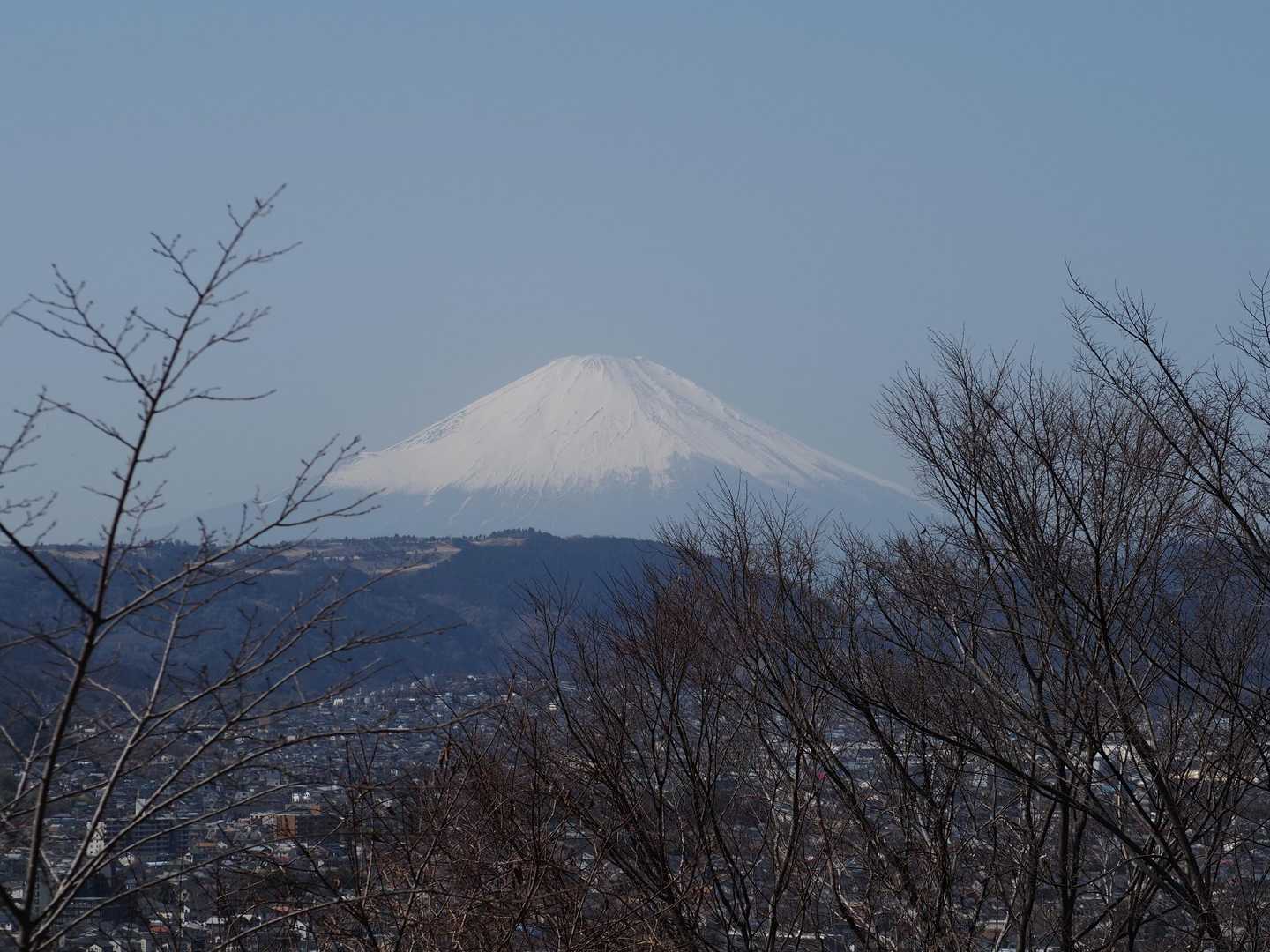 富士山🗻