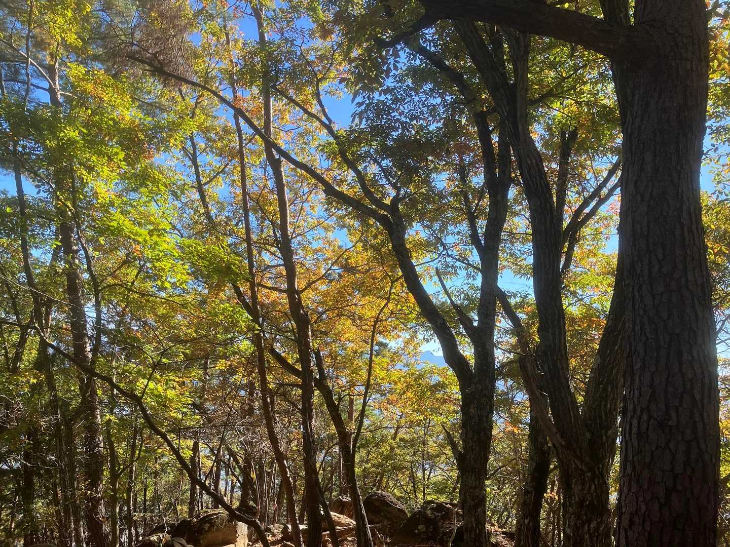 兜山 周回コースの写真