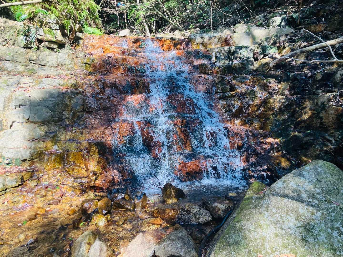 杣谷峠-摩耶別山 周回コースの写真