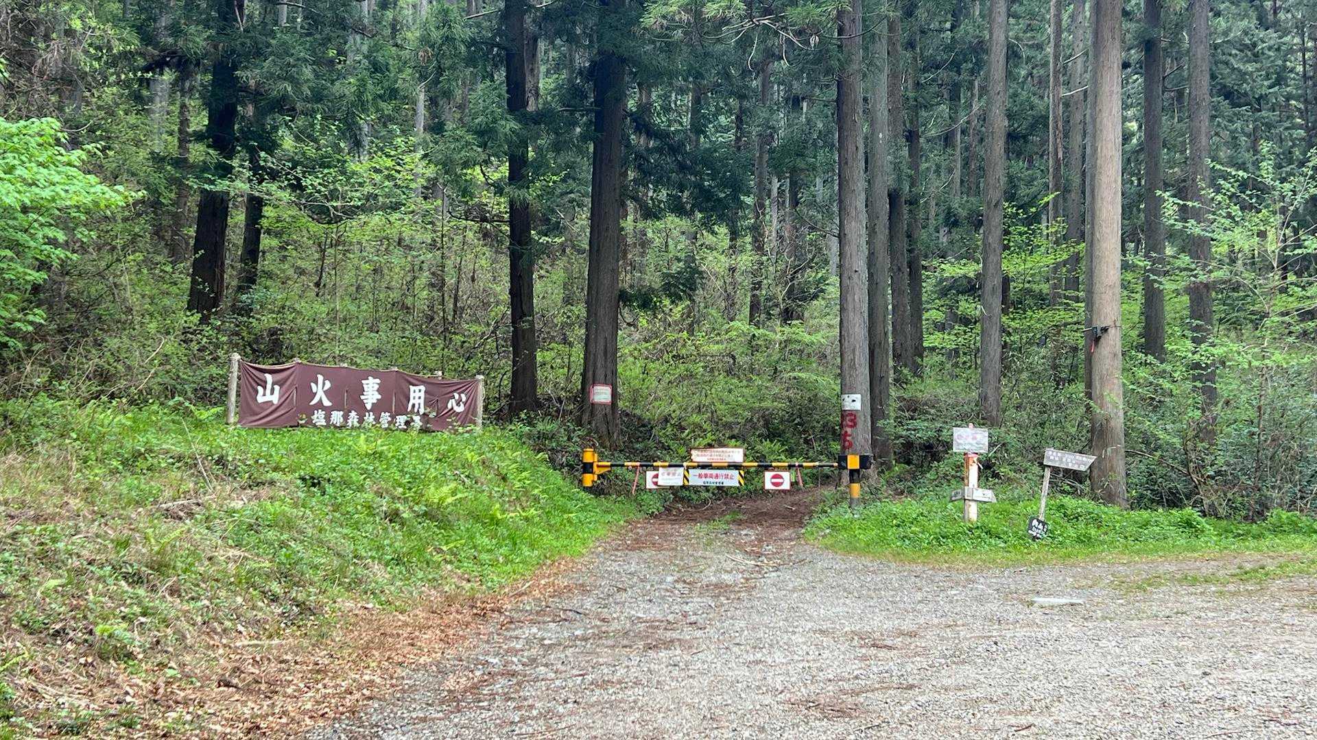 目玉の親父を見たかったのですが、車まで戻ってきちゃいました🥲