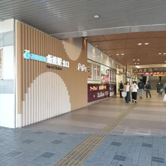 飯能駅に到着。おしまい