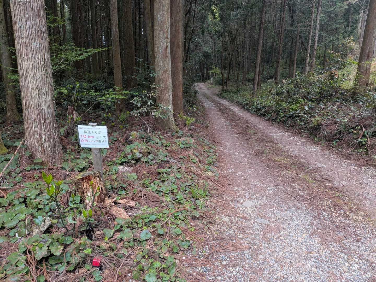 駐車している🅿️まで歩きます✌