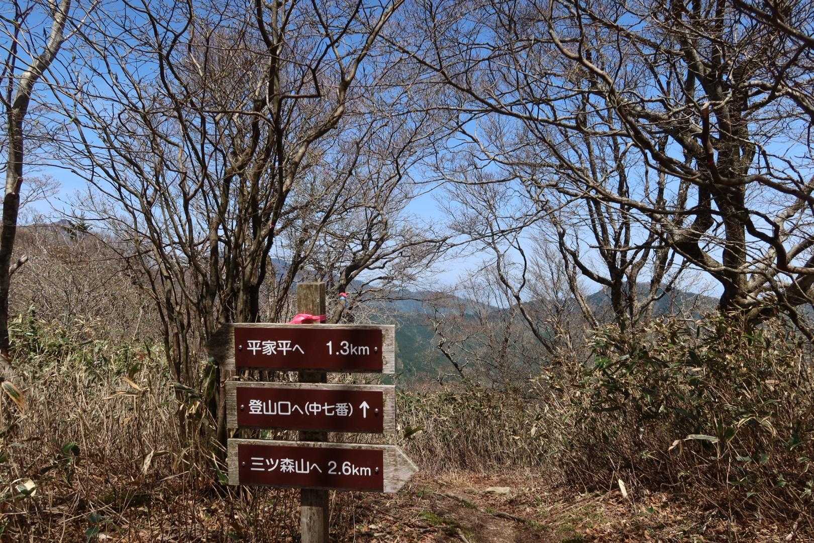 稜線に出ました
